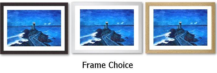 Frame Choicee